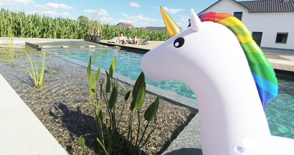 una statua di unicorno accanto alla piscina di vista-apartments a Ebersbach