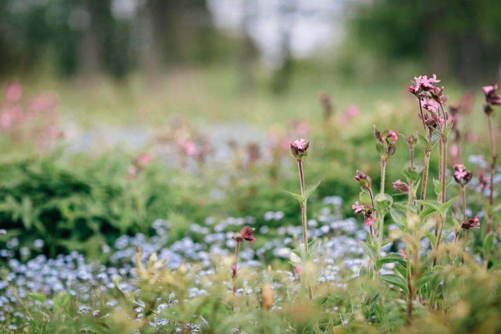 Zahrada ubytování Lidö Värdshus