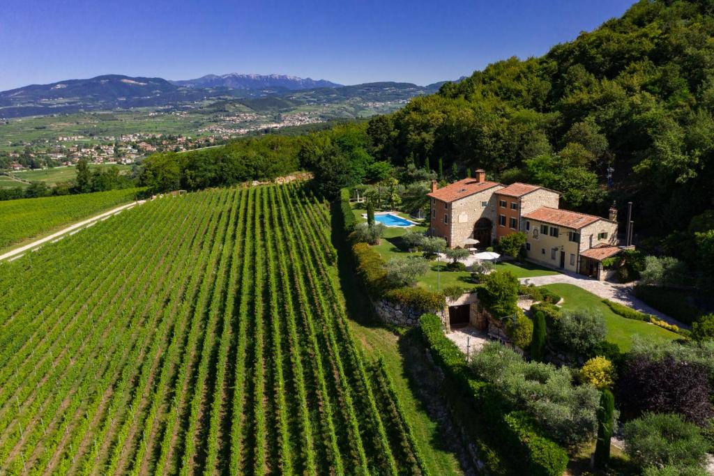 an aerial view of a house and a vineyard at Villa Vitis in Negrar