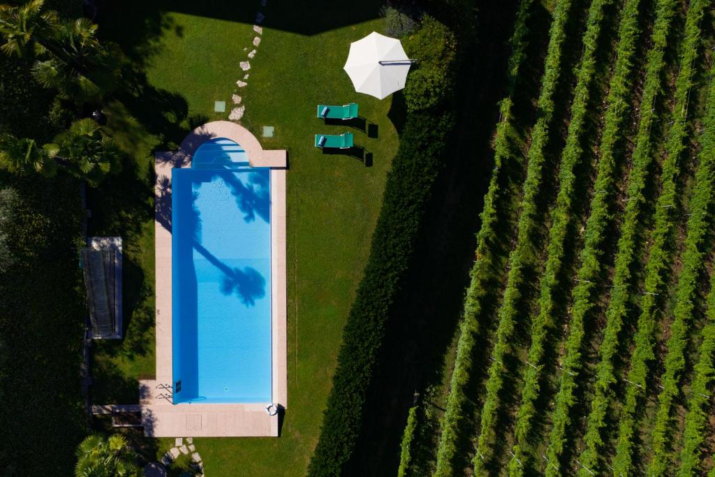 Bazén v ubytování Villa Vitis nebo v jeho okolí