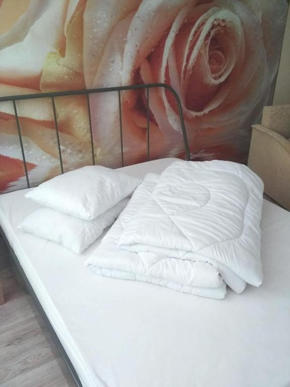 Uyutnaya Kvartira V Centre Rose Flower Apartment بيرم أحدث أسعار 2021