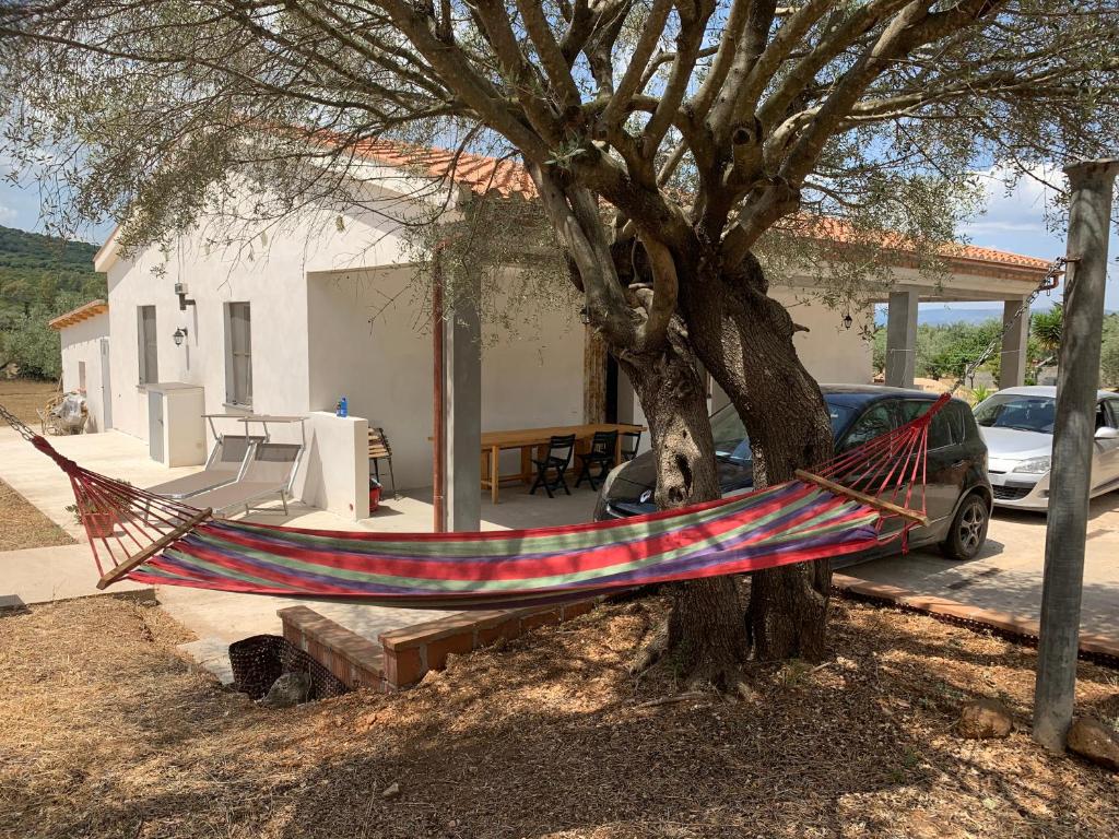 a hammock tied to a tree in front of a house at Sa Domu e Muru in Galtellì