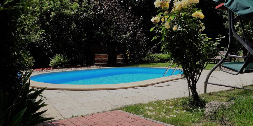 Bazén v ubytování Apartment Ulrich nebo v jeho okolí