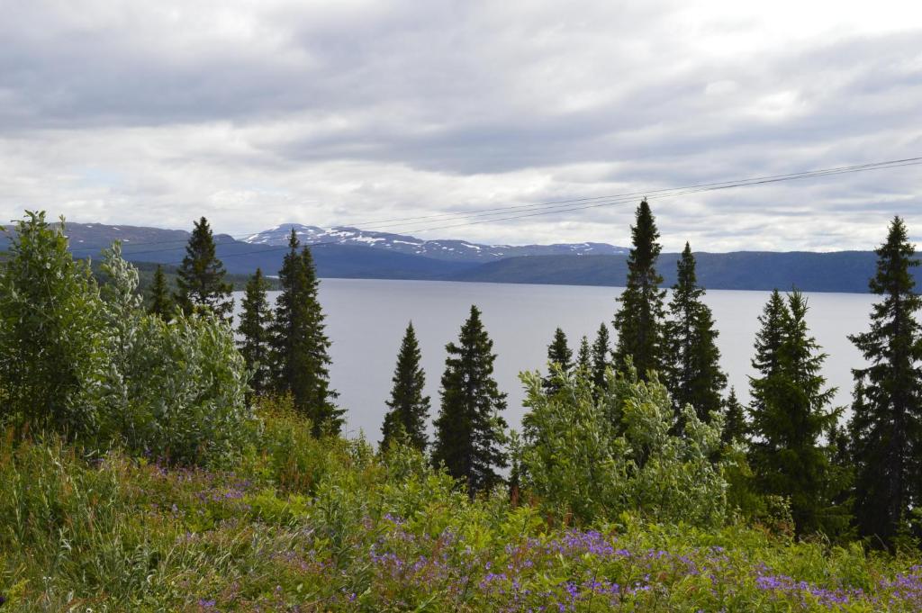 uma vista para um lago com árvores e flores em Blåsjöns stugby em Stora Blåsjön