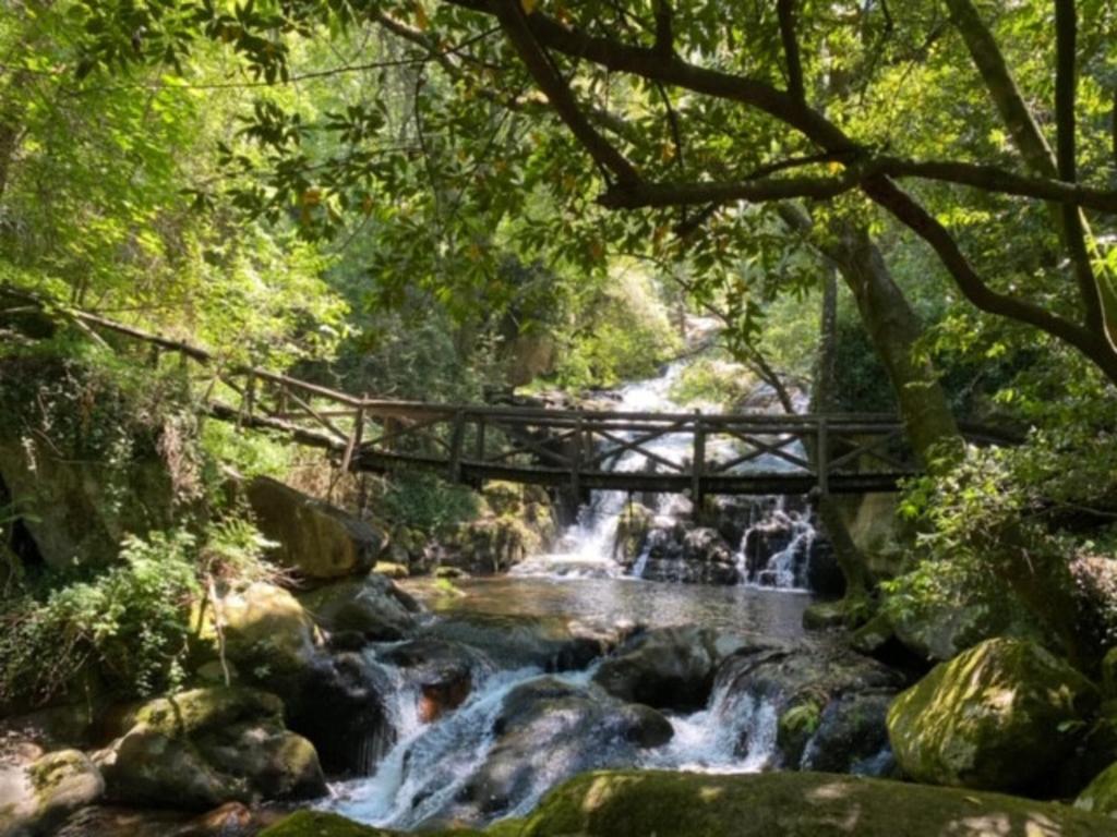 Gallery image of Encosta do Douro - Rio Douro in Cinfães