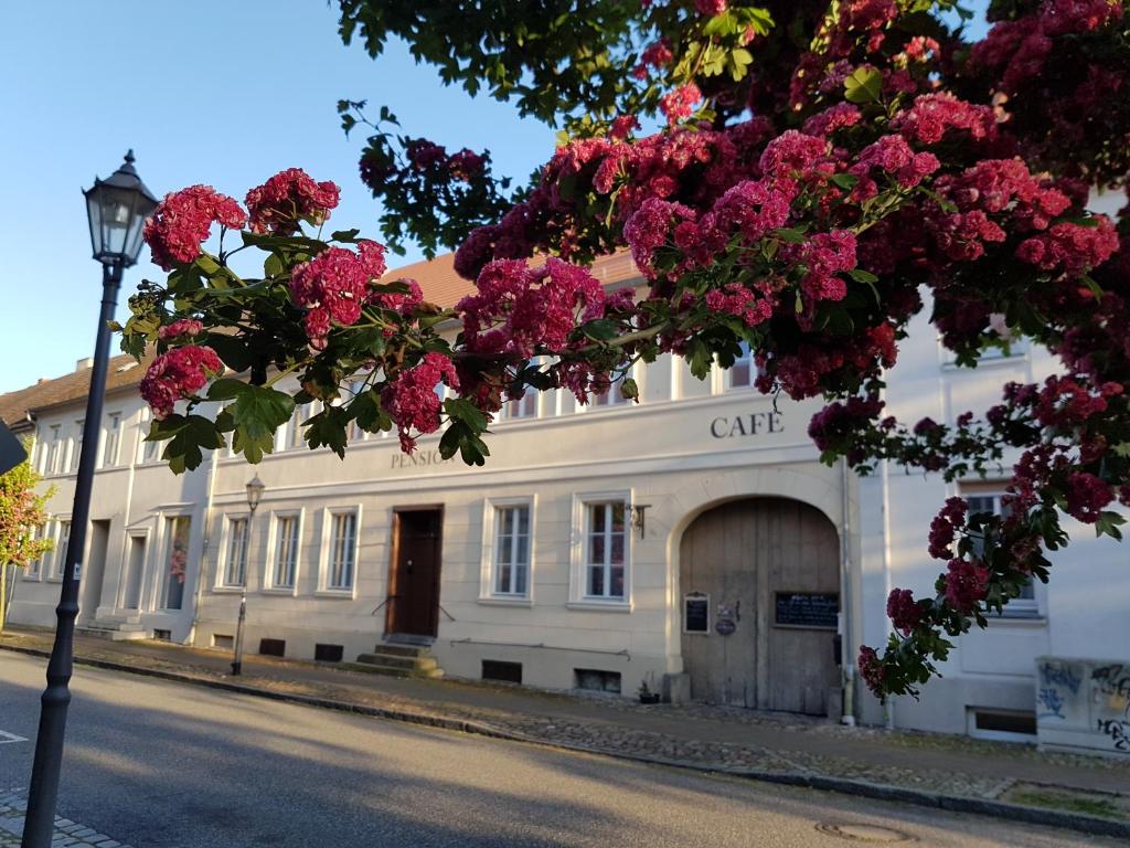 Um edifício branco com flores cor-de-rosa à frente. em Alte Lebkuchenfabrik em Kremmen