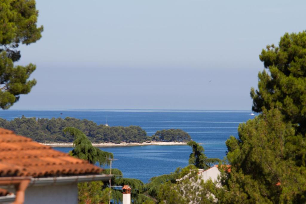 Studio Apartman Nega 1
