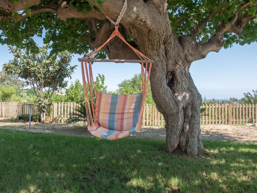 a hammock hanging from a tree in a yard at B&B Il Gelso Rooms in Terme Vigliatore