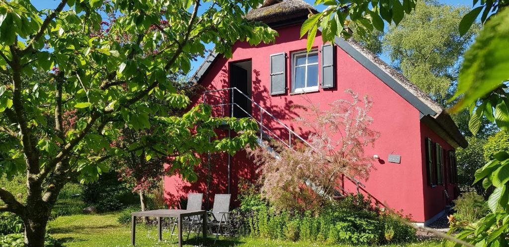 Hof Garz - Studio-Apartment