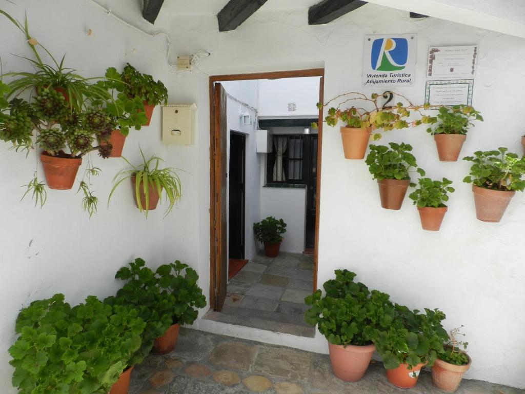 um corredor com vasos de plantas na parede em Casa Lola, La Plazoleta em Vejer de la Frontera