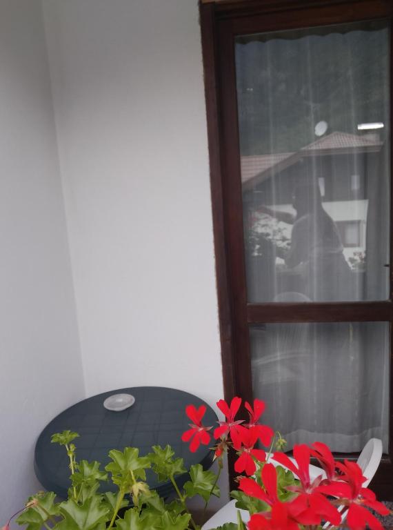 Fotografie z fotogalerie ubytování Hotel Orso Grigio v destinaci Carisolo