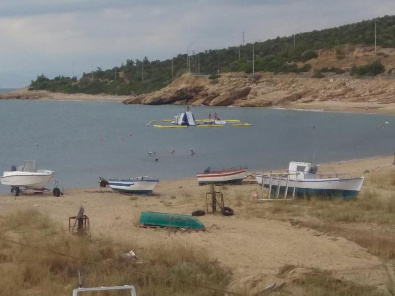 Táj az apartman közelében
