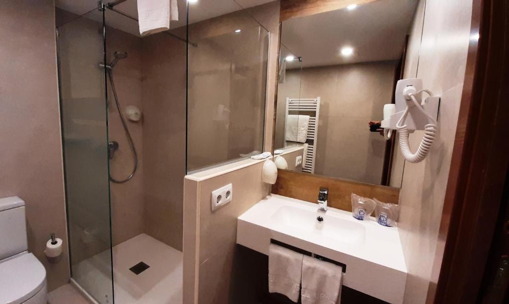 a bathroom with a shower and a sink and a toilet at Hotel Urogallo in Vielha