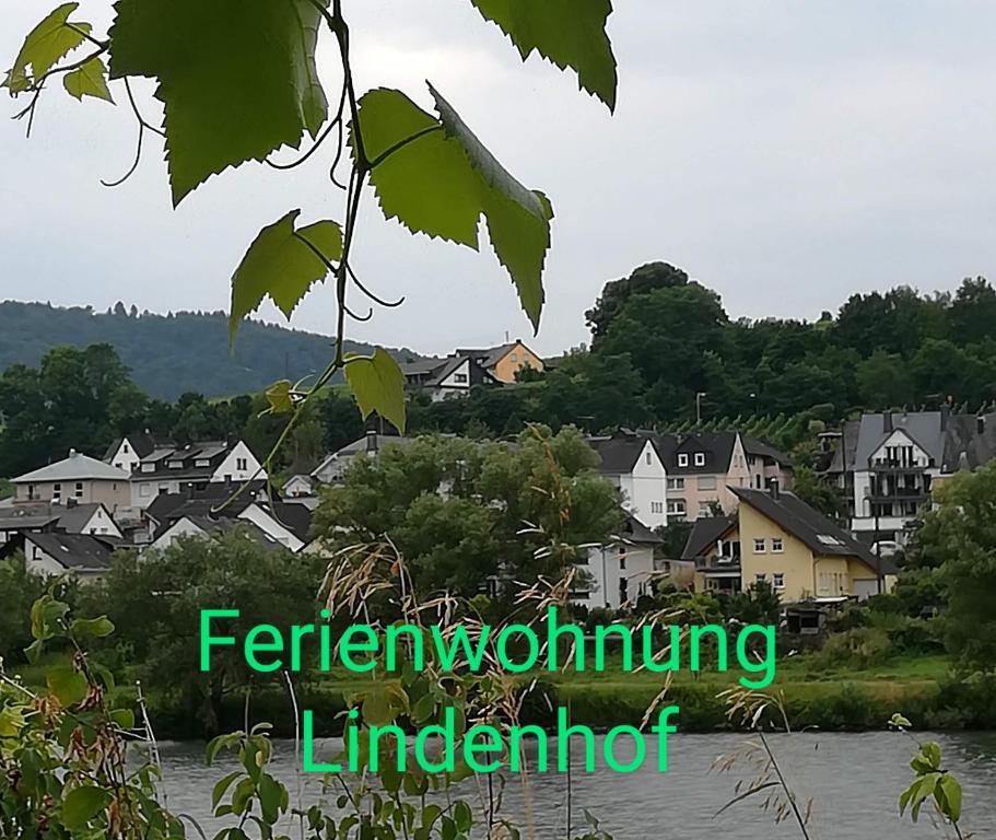 ツェル・アン・デル・モーゼルにあるDie Ferienwohnung Lindenhofの川上の町