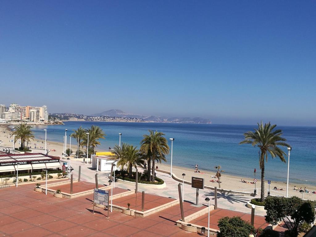 vistas a una playa con palmeras y al océano en Calpe casita blanca, en Calpe