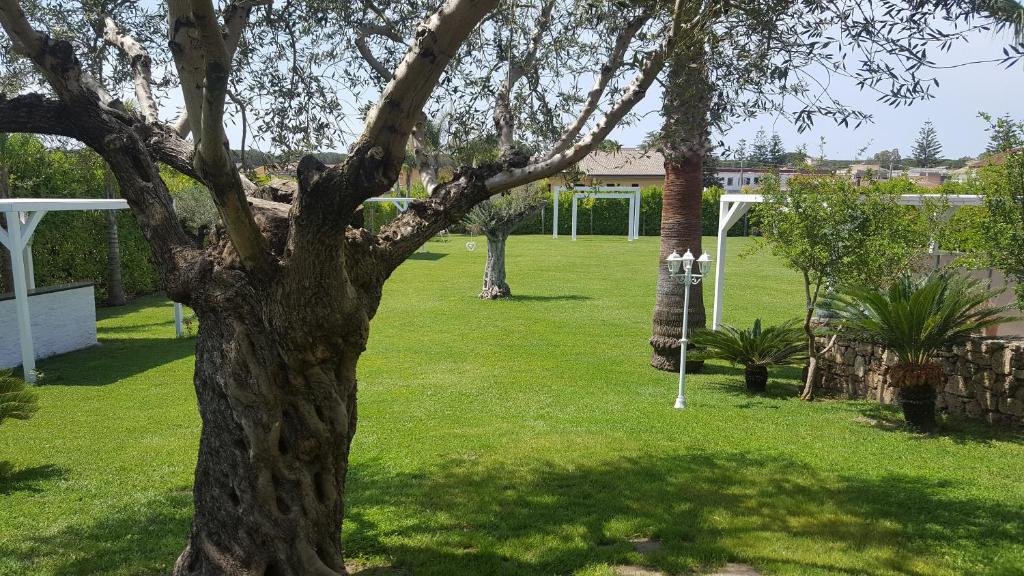 Ein Baum mitten auf einem grünen Hof in der Unterkunft Torre dei Mori Boutique Rooms B&B in Capaccio-Paestum