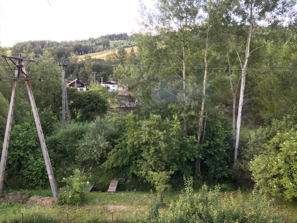 Apartamenty Nova Dolina - Quadruple Room With Mountain View