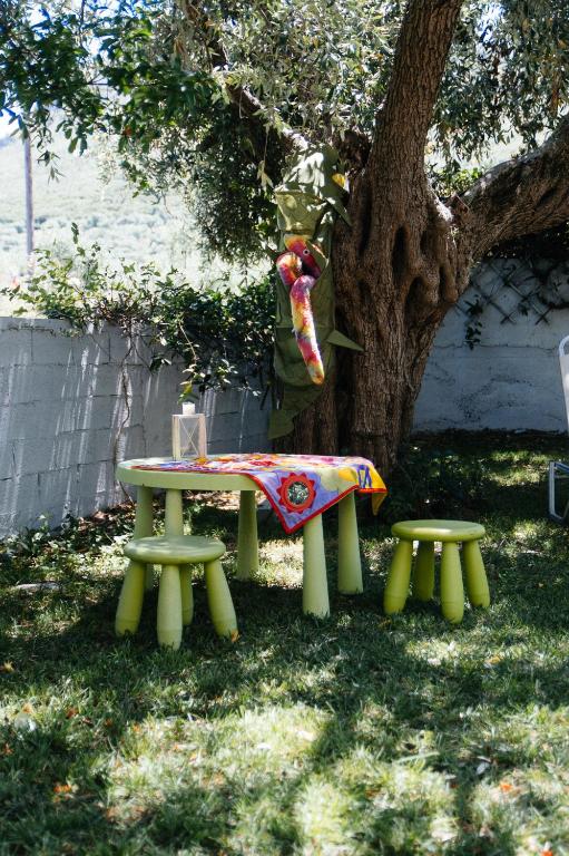 Zahrada ubytování Cactus Suite