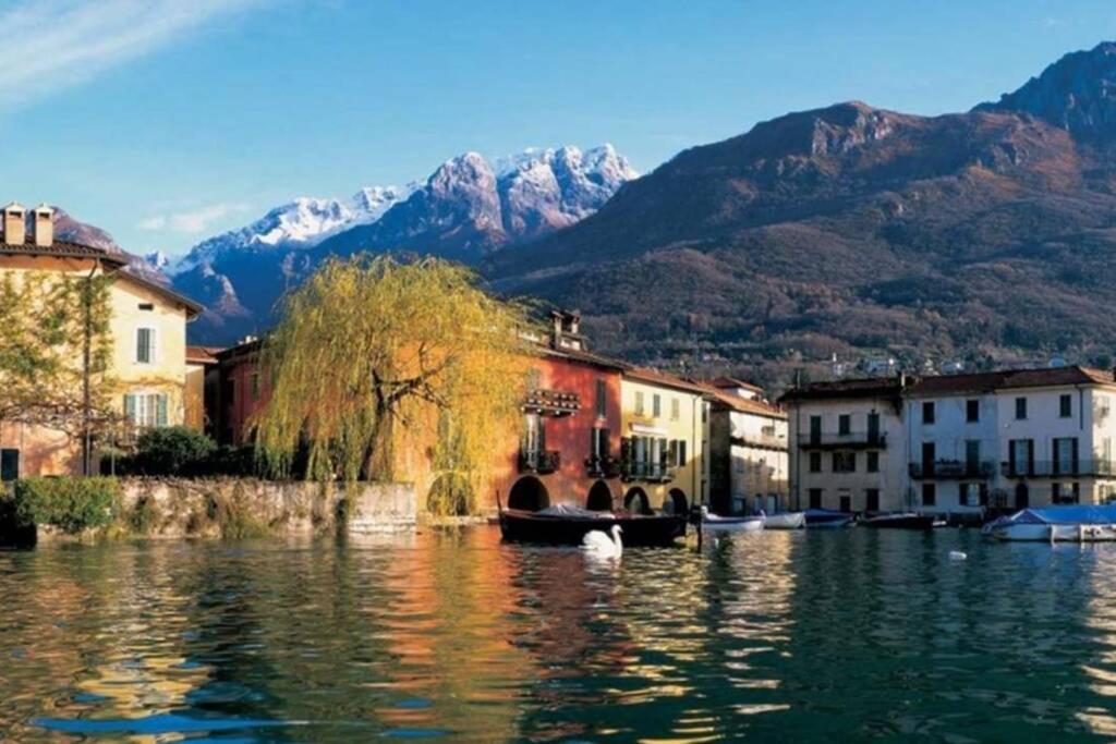 a lake with buildings and a swan in the water at Lake It Easy Mandello in Mandello del Lario