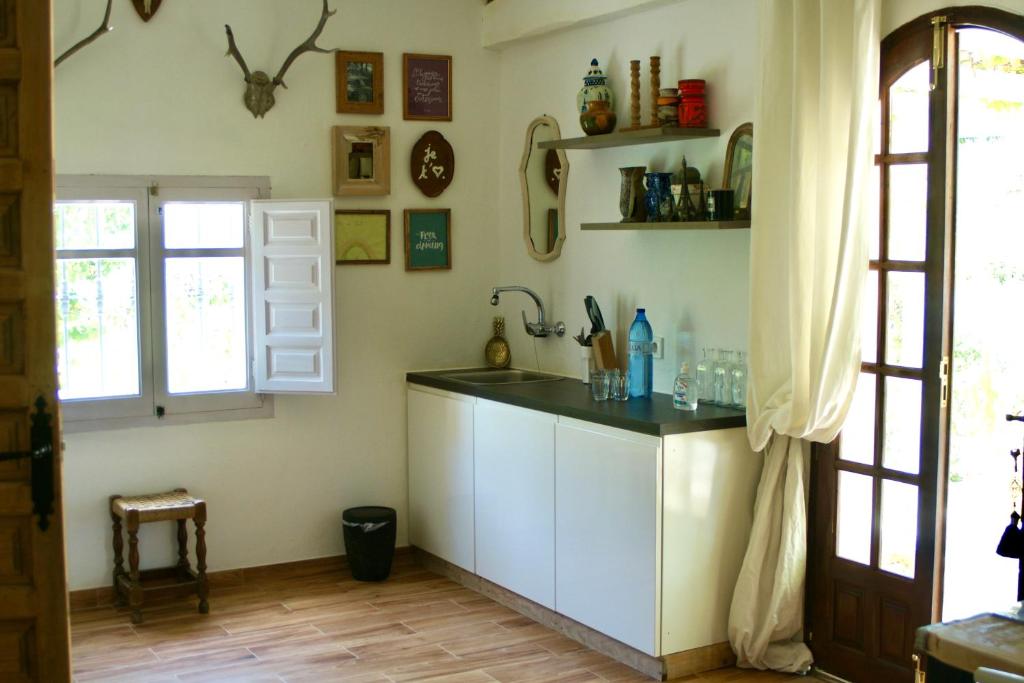 Kuchyňa alebo kuchynka v ubytovaní Finca Mil Estrellas
