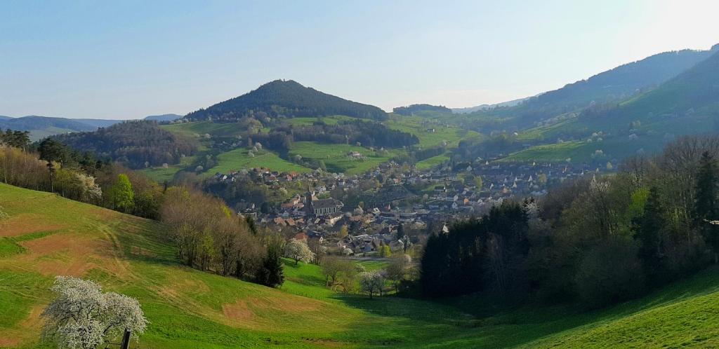 a green valley with a small town on a hill at Gite "Lili" in Lapoutroie