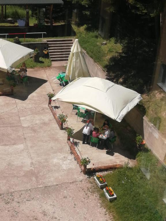 Zahrada ubytování HOSTEL CPPI Vest