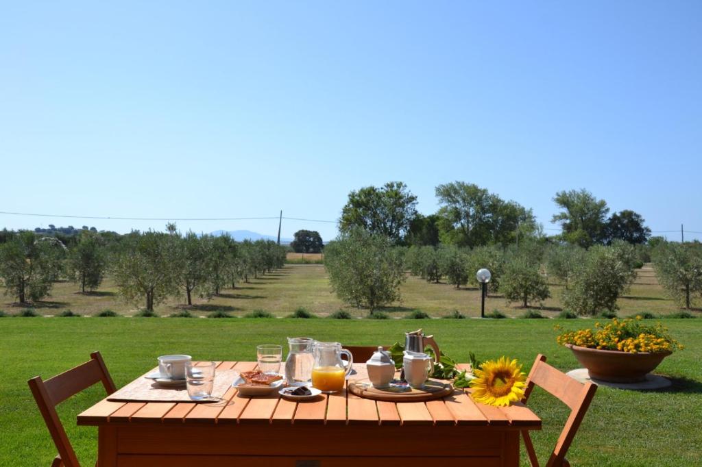 Zdjęcie z galerii obiektu Agriturismo Il vecchio mandorlo w mieście Castiglione della Pescaia