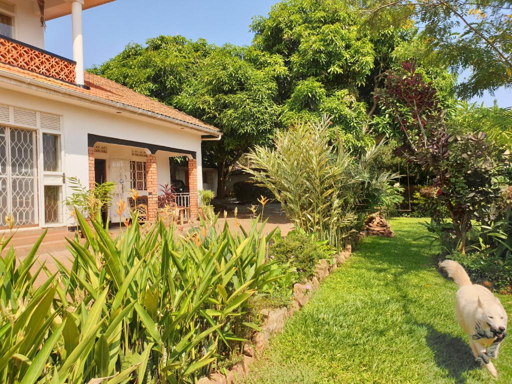 Alison & Dave's Guesthouse tesisinin dışında bir bahçe