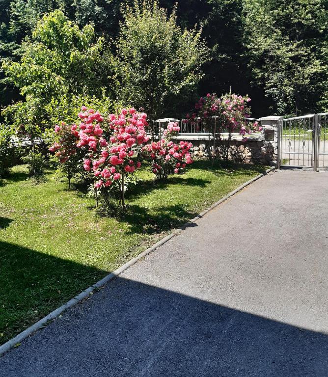 a garden with pink flowers and a fence at Gorski cvijet in Delnice