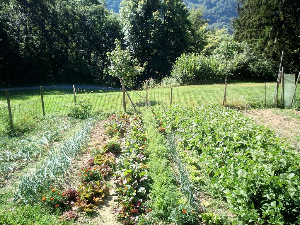 Zahrada ubytování Chambre d'hôtes l'Aire du temps Savoyard