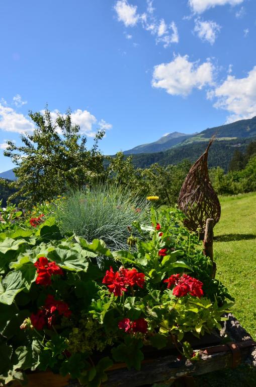 Nespecifikovaný výhled na hory nebo výhled na hory při pohledu z bed and breakfast