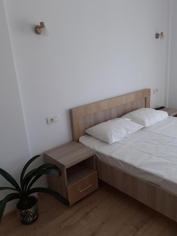 - une chambre avec deux lits et une plante en pot dans l'établissement VILA IRINA, à Mangalia