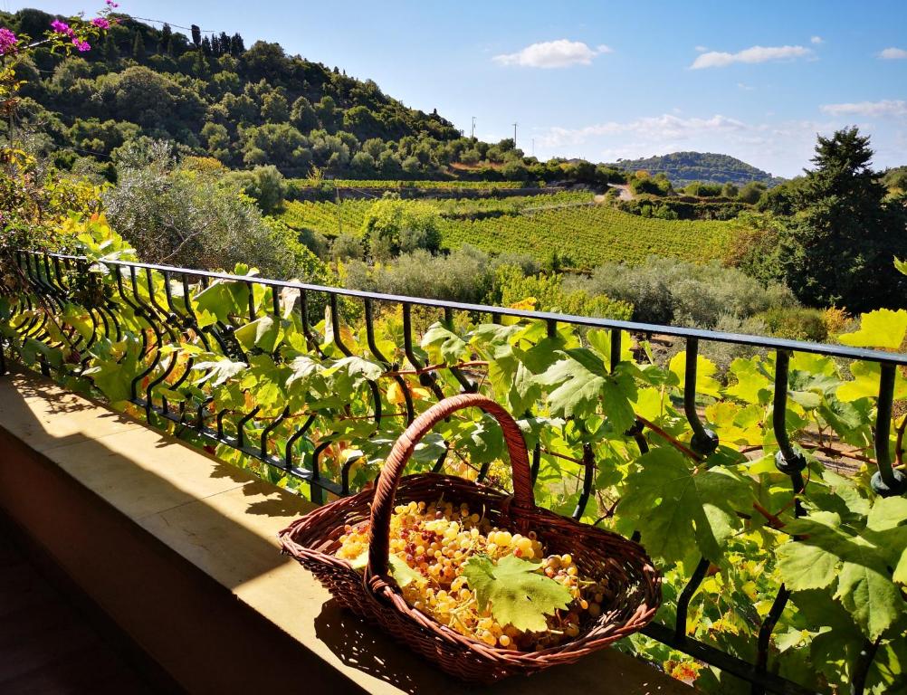 a basket of vegetables sitting on a ledge in a vineyard at La Tinaia Country House in Magomadas