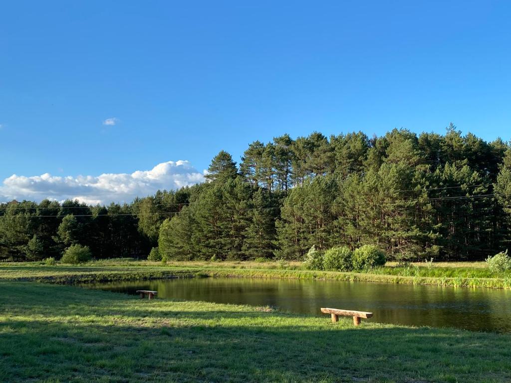 Příroda nedaleko luxury tent