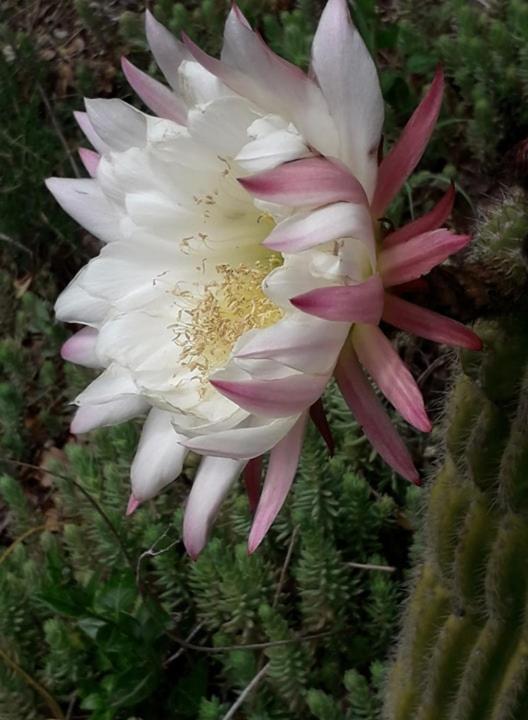 Agriturismo Grossola - 17