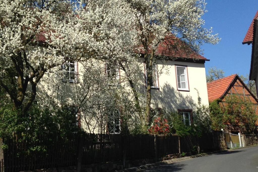ein weißes Haus mit Bäumen vor einem Zaun in der Unterkunft Liebevolles, altes Schulhaus im Vintage Stil in Wartmannsroth