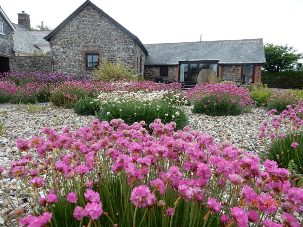 Zahrada ubytování Downe Cottages