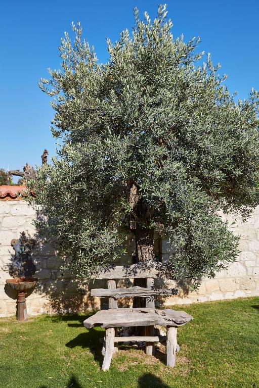 A garden outside Alakapi Hotel & Villas