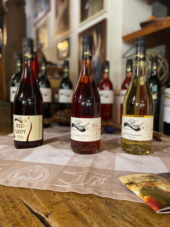 Nápoje v ubytování Weingut Pugl