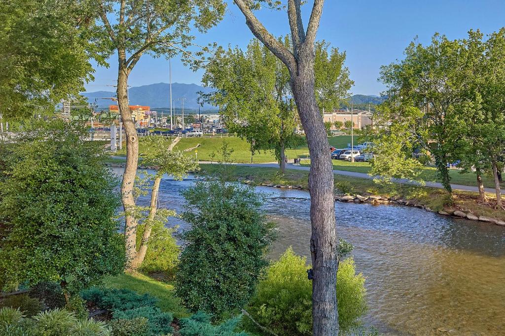a view of a river with trees in a park at The Inn On The River in Pigeon Forge