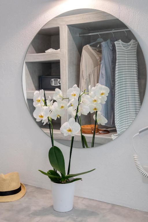 Fotografie z fotogalerie ubytování Galinos Hotel for adults only v destinaci Parikia