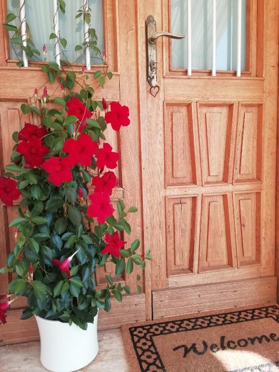 Fotografie z fotogalerie ubytování B&B La casa di Loretta v destinaci Paderno