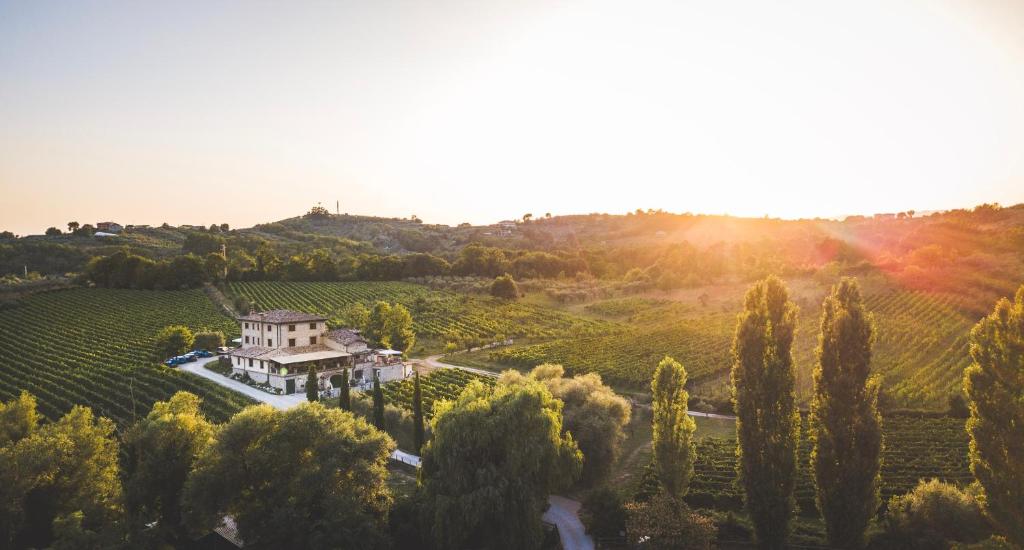 una tenuta nel mezzo di un vigneto con alberi di Casale Verdeluna Wine Resort a Piglio