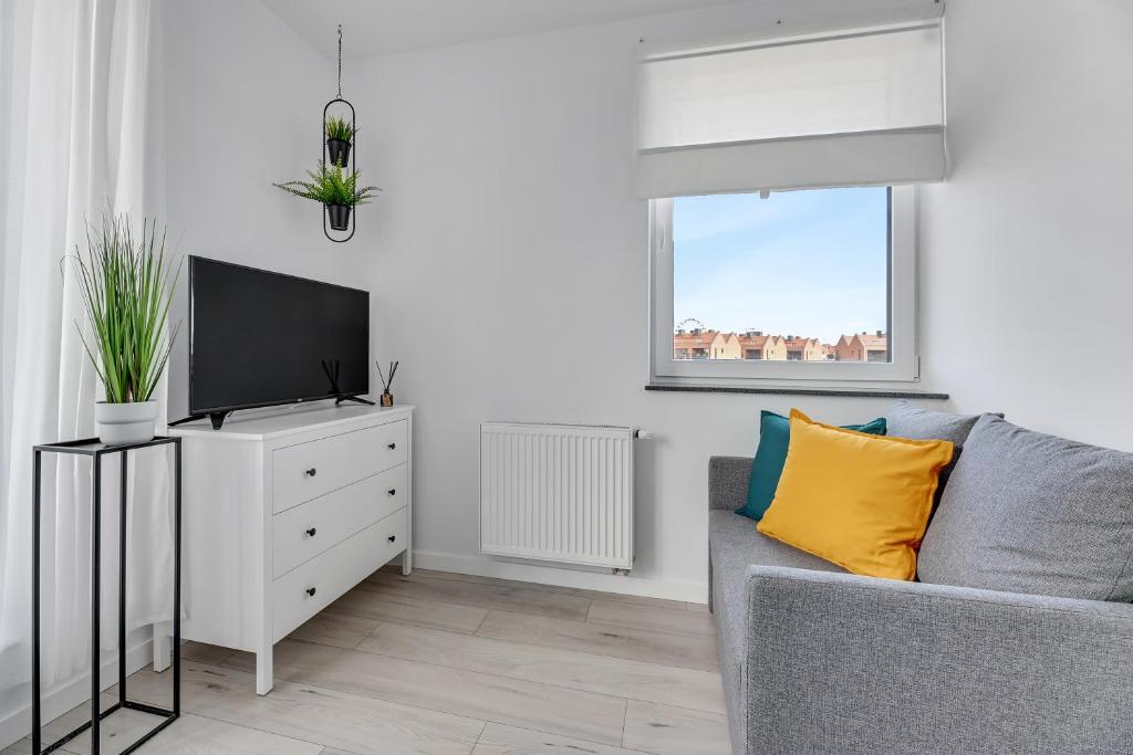 Televízia a/alebo spoločenská miestnosť v ubytovaní Apartamenty Świętej Barbary