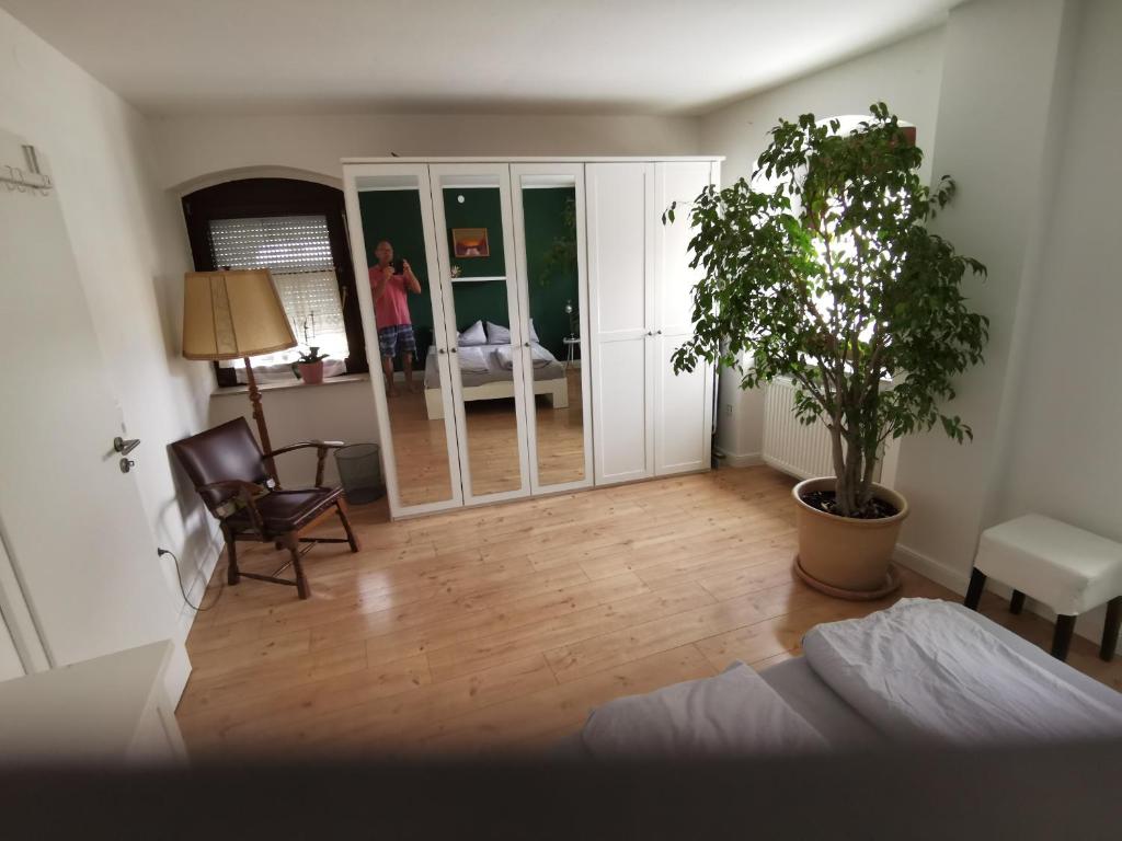 a room with a bed and a potted tree in it at Im Herzen des Kraichgaus 1 in Östringen