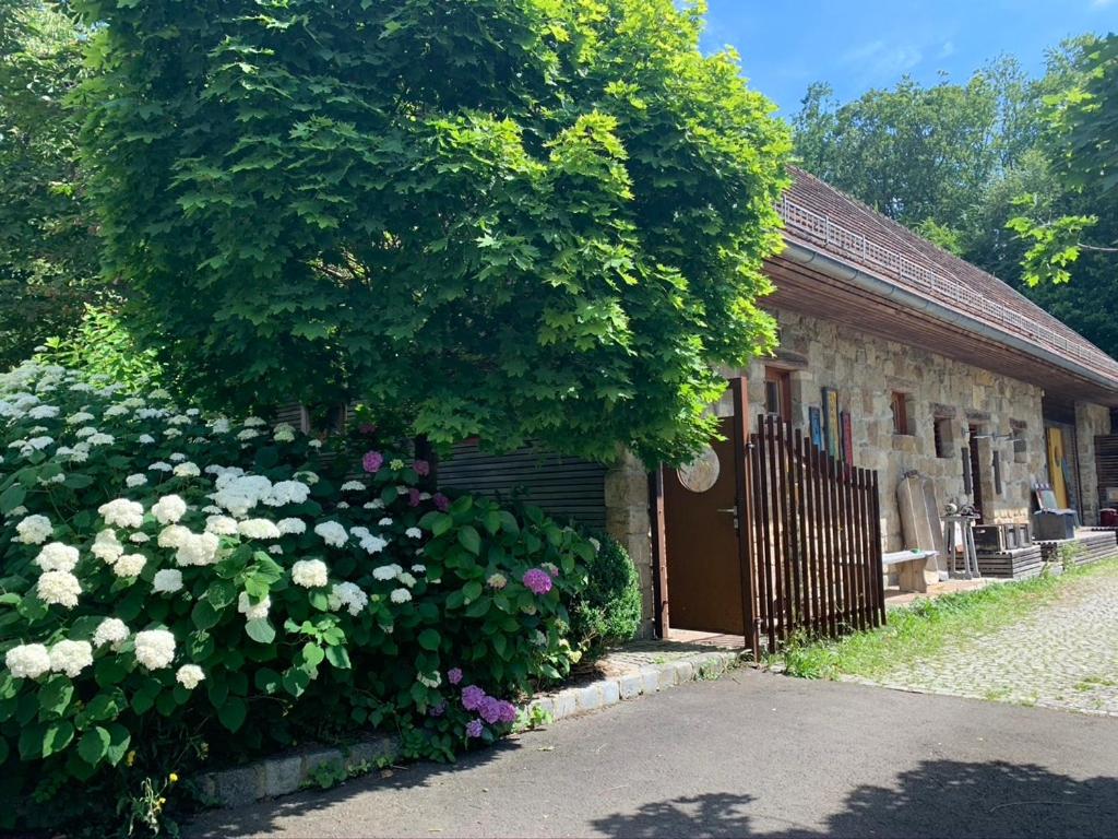 Vrt ispred objekta K&uuml;nstlerzimmer