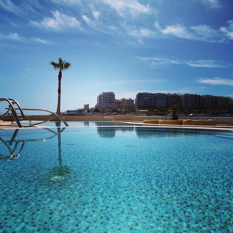 a large swimming pool with a palm tree in the background at Cavalieri Art Hotel in St. Julianʼs