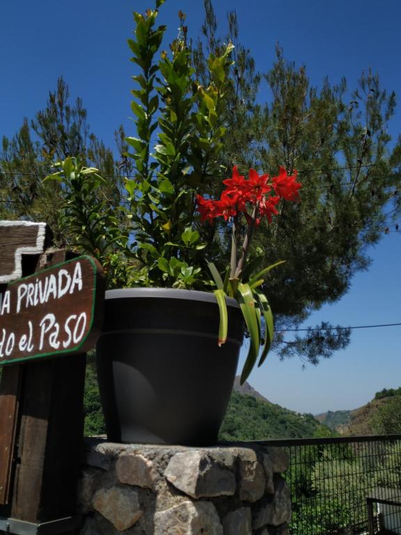 Zahrada ubytování Cortijo La Solana