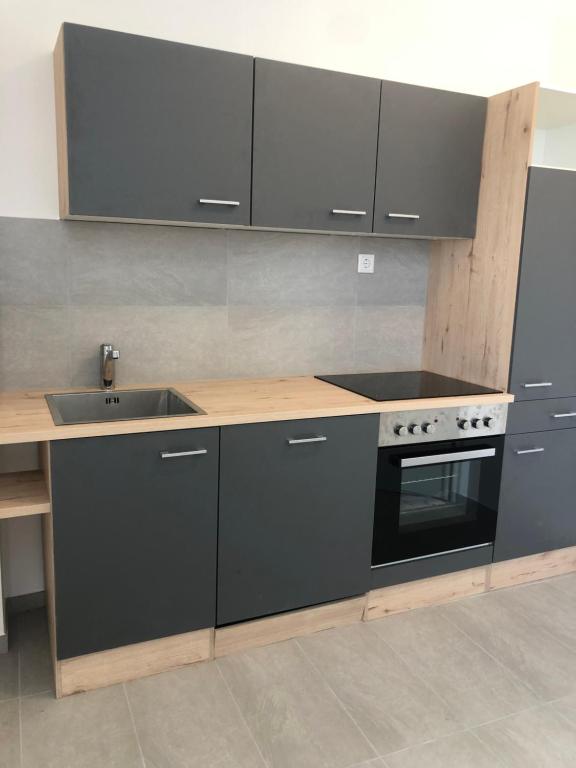 Business & fitter Apartment