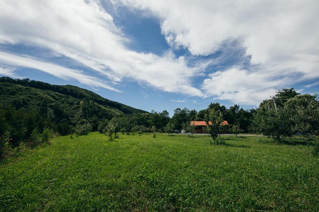 Příroda nedaleko bed and breakfast
